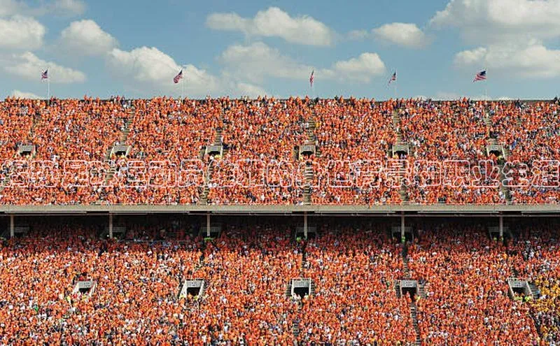 hth网页版在线登录入口百度手机输入法揭秘足球运动员维雅的身世背景和职业生涯