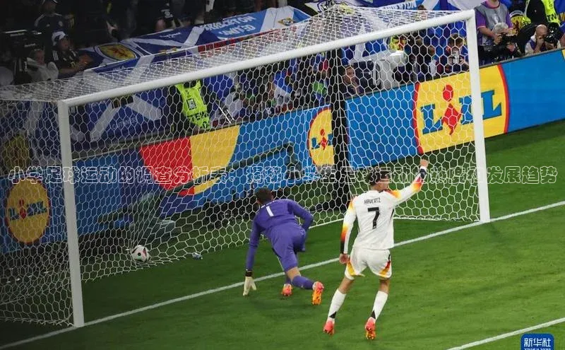 hth会体会官方百度营销中心小学足球运动的调查分析表：揭秘小学生足球运动的热度和发展趋势