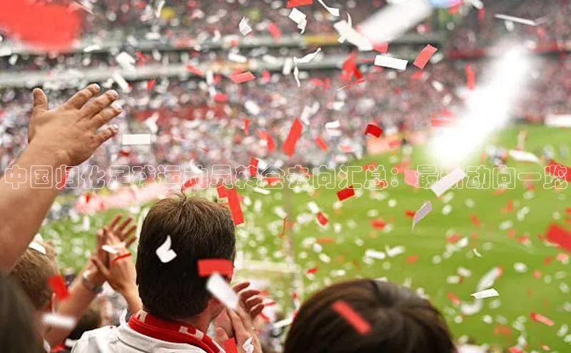 hth会体会官方引力传媒中国归化足球运动员转会去向汇总：最新动向一览