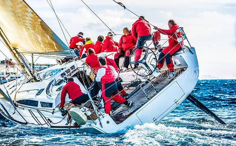 体育精神的启迪：从运动赛事中汲取的成长智慧