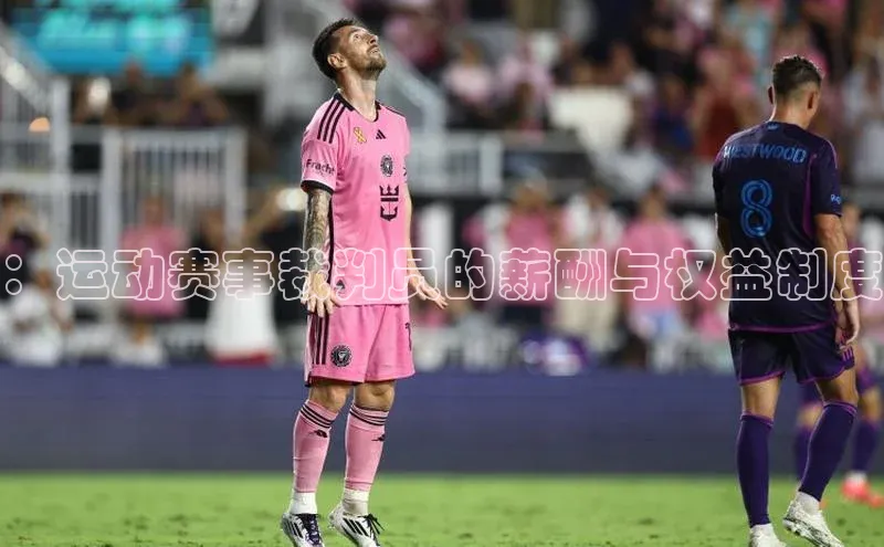 ：运动赛事裁判员的薪酬与权益制度