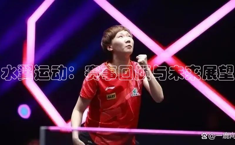 水翼运动：赛事回顾与未来展望