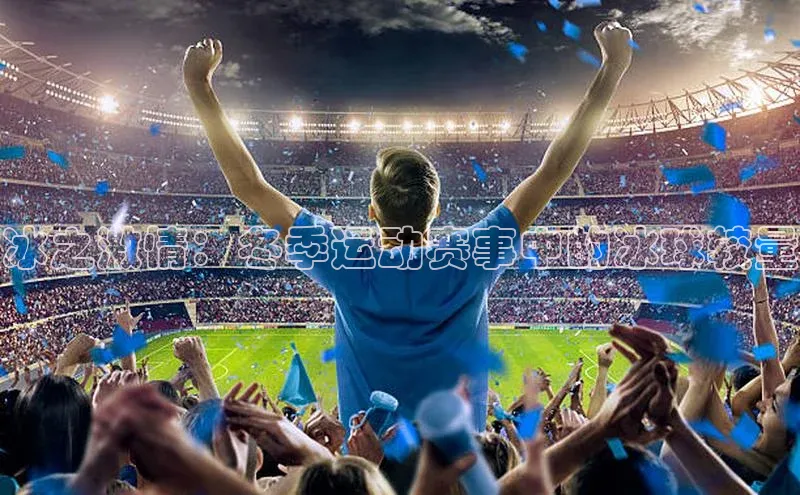 冰之激情：冬季运动赛事中的冰球较量