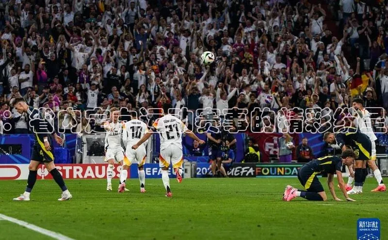 ：省内定向运动赛事的精彩纷呈