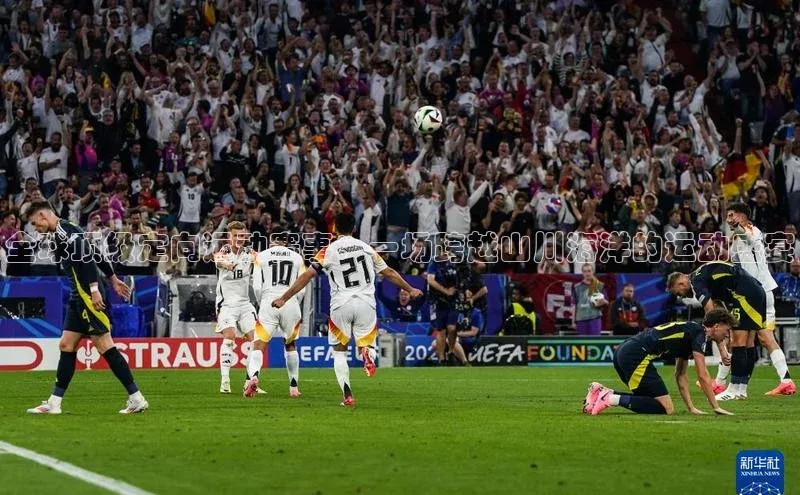 全球顶级定向运动赛事：一场跨越山川海洋的运动盛宴