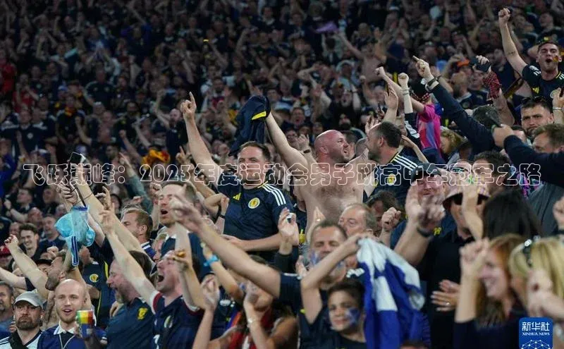 飞跃巅峰：2023年度运动会男子跳高中年冠军之路