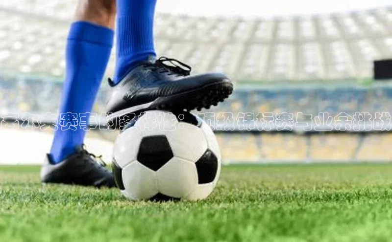 高尔夫赛事的多样性：顶级锦标赛与业余挑战