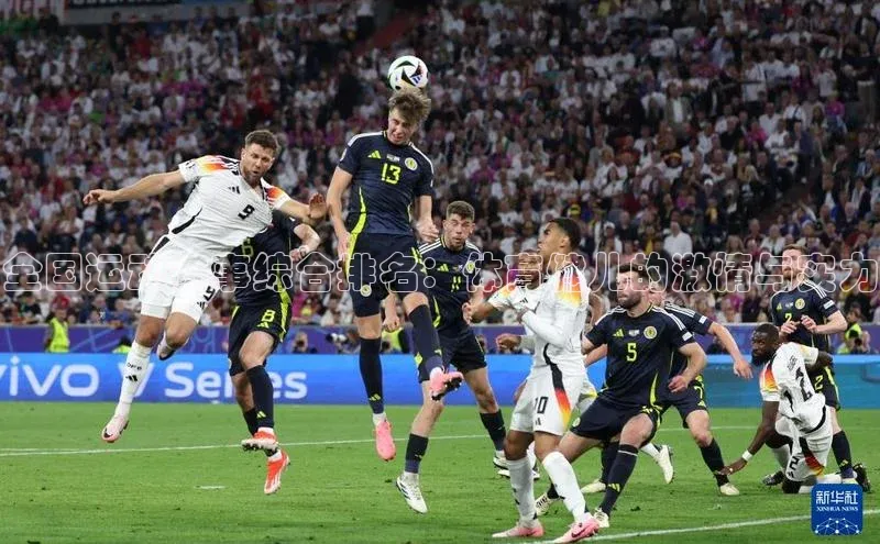 全国运动赛事综合排名：体育健儿的激情与实力