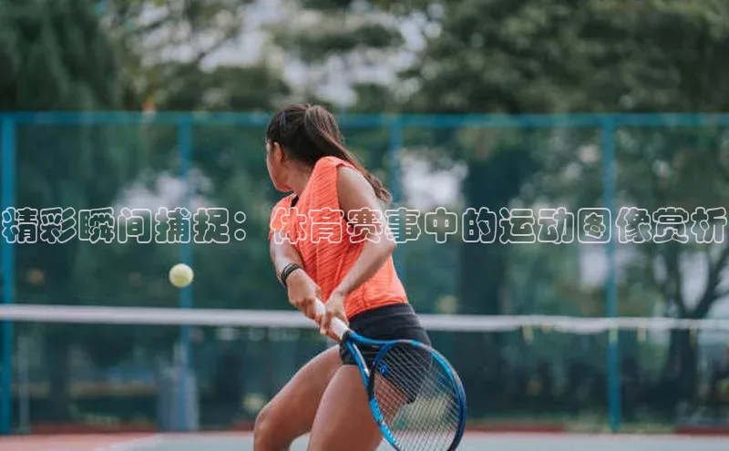 华体育综合app下载