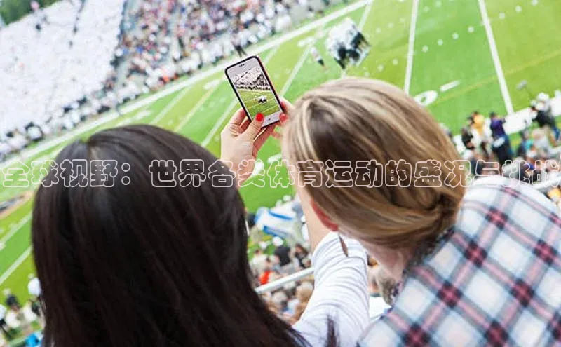 全球视野：世界各类体育运动的盛况与挑战