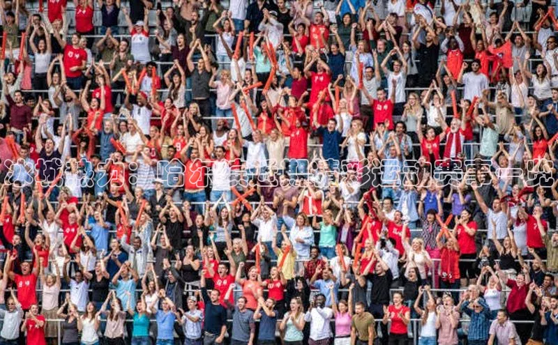 冰城热力：哈尔滨近期精彩运动赛事一览