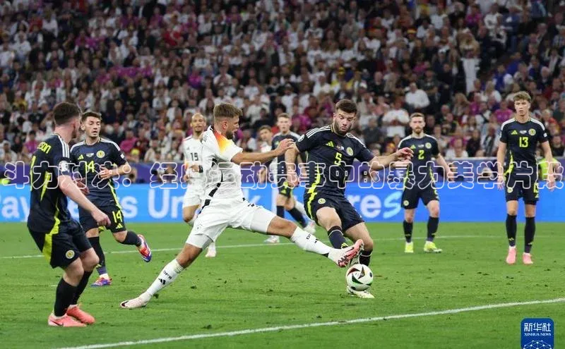 华体会hth体育最新登录